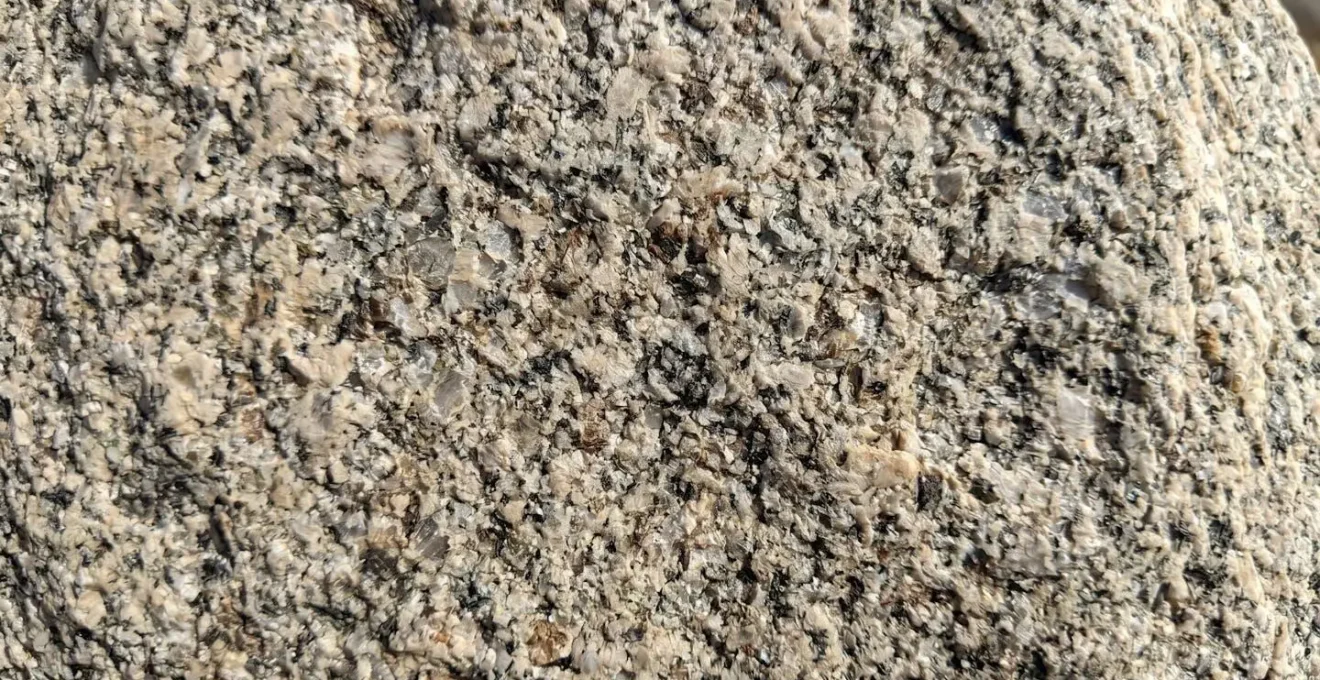 Gros plan en macro sur la texture rugueuse d'une pierre naturelle utilisée en aménagement paysager, avec détails des grains minéraux sous lumière naturelle latérale