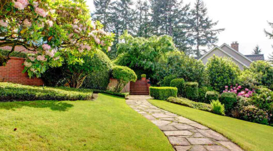 Aménagement du jardin