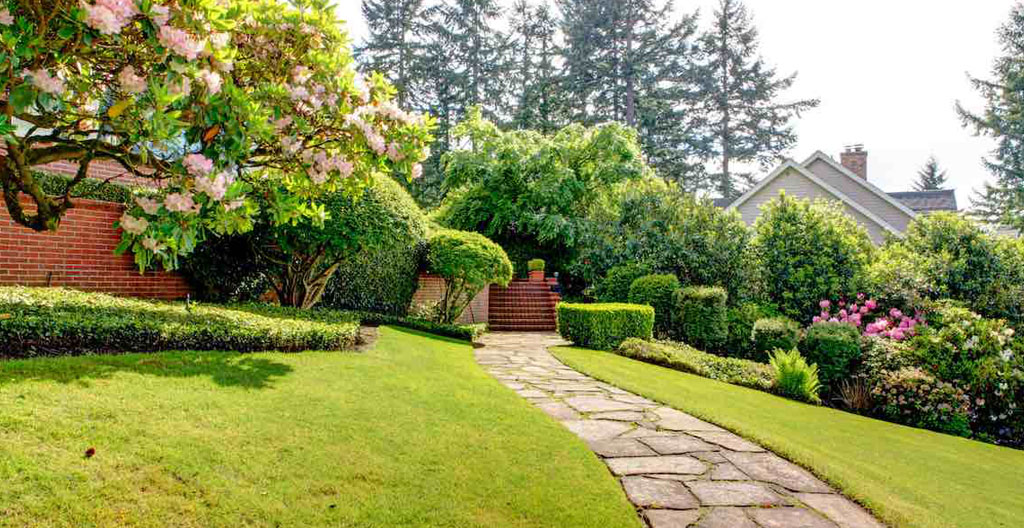 Aménagement du jardin